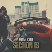 Section 18 Ft Brar & Yuvy